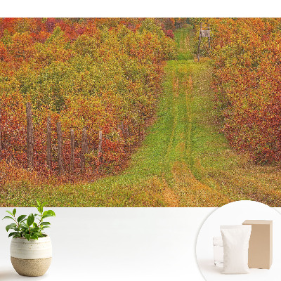 Nowoczesna fototapeta na wymiar Jesienna droga pośród kolorowych drzew