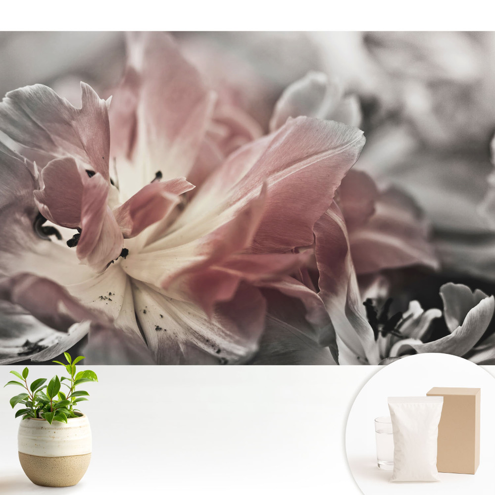 Fototapeta z nadrukiem na flizelinie Zbliżenie delikatnych kwiatowych płatków