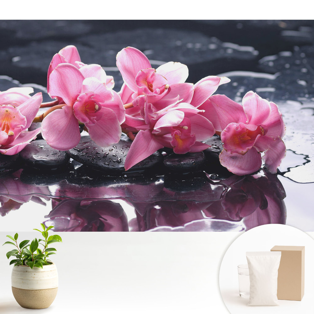 Fototapeta do salonu Różowe orchidee na kamieniach