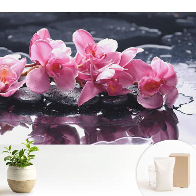 Fototapeta do salonu Różowe orchidee na kamieniach