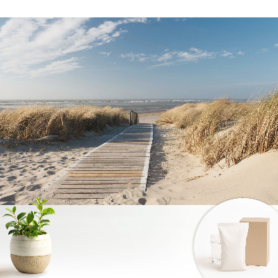 Tapeta fotograficzna flizelinowa Nadmorska ścieżka wśród wydm