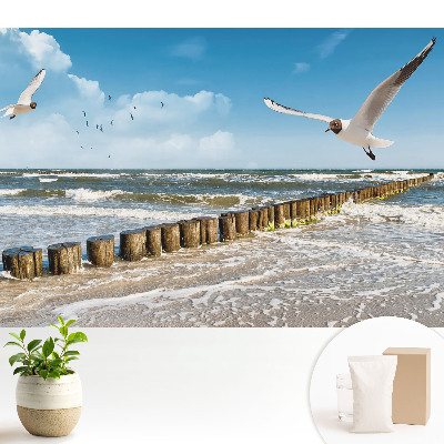 Nowoczesna fototapeta na wymiar Mewy nad morzem