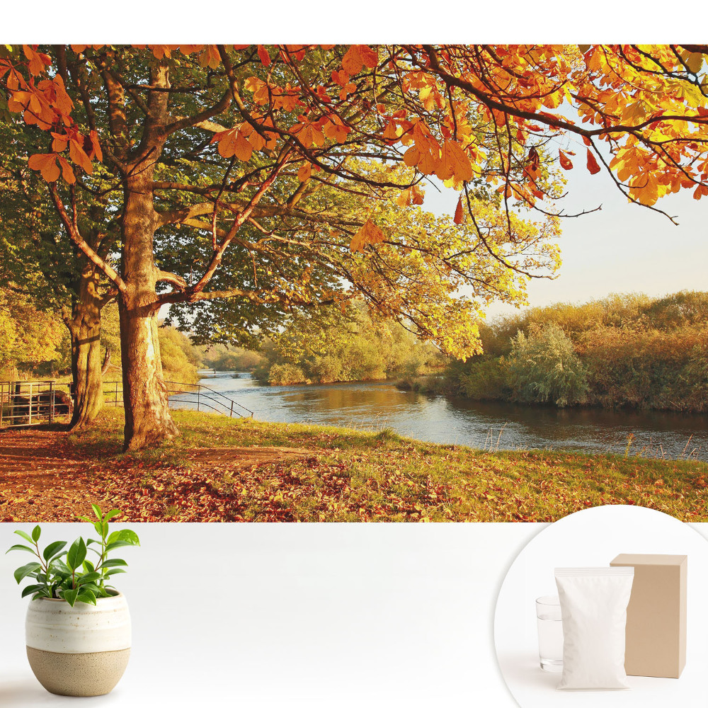 Fototapeta do salonu Jesienny krajobraz rzeki spokojne kolory