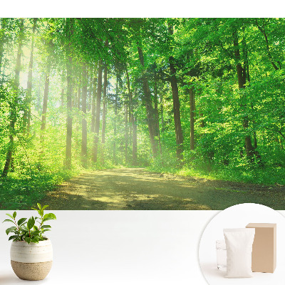 Fototapeta flizelinowa do salonu Zielony las słońce spokój