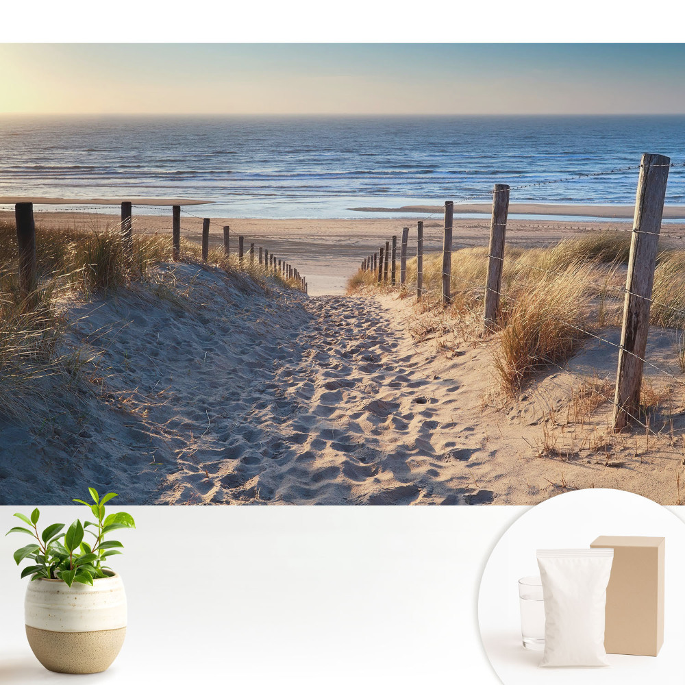 Nowoczesna fototapeta na wymiar Ścieżka przez wydmy do morza