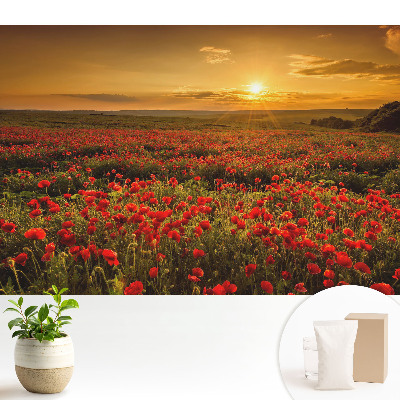 Tapeta fotograficzna flizelinowa Zachód słońca na polu maków