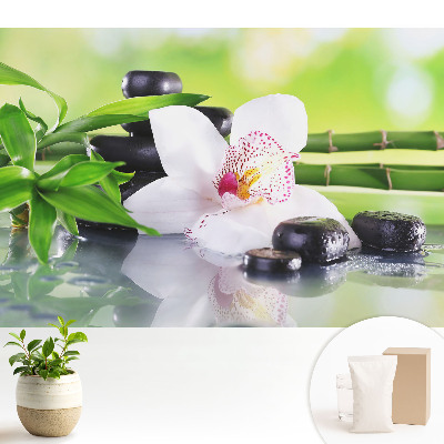 Tapeta fotograficzna flizelinowa Orchidea i kamienie w otoczeniu bambusów