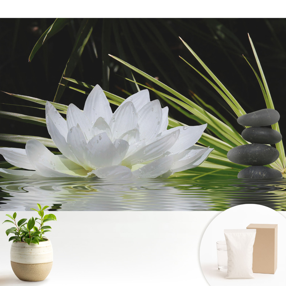 Fototapeta na wymiar do sypialni Biała lilia kamienie medytacja