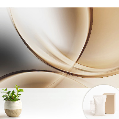 Fototapeta flizelinowa do salonu Elegancka abstrakcja łuków i krzywizn