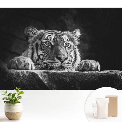 Fototapeta z nadrukiem na flizelinie Tygrys w czerni i bieli