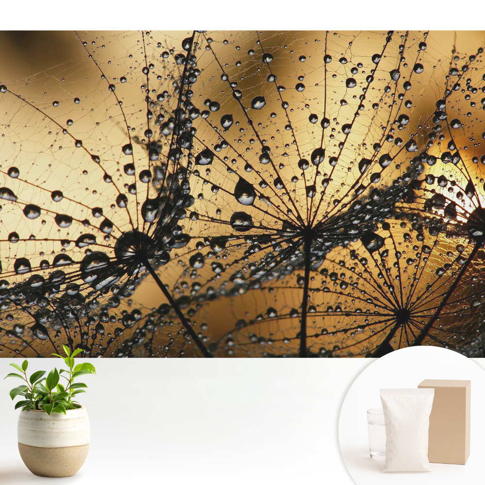 Fototapeta z nadrukiem na flizelinie Eleganckie krople na sieci w świetle