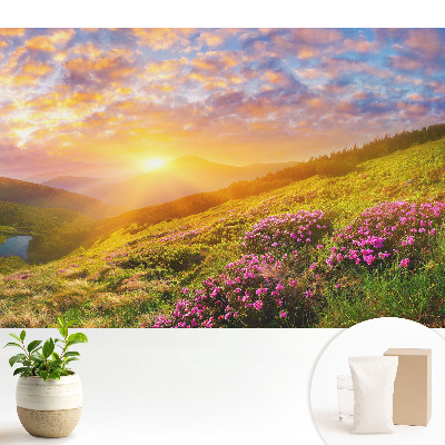 Fototapeta na wymiar do sypialni Zachód słońca góry kwiaty