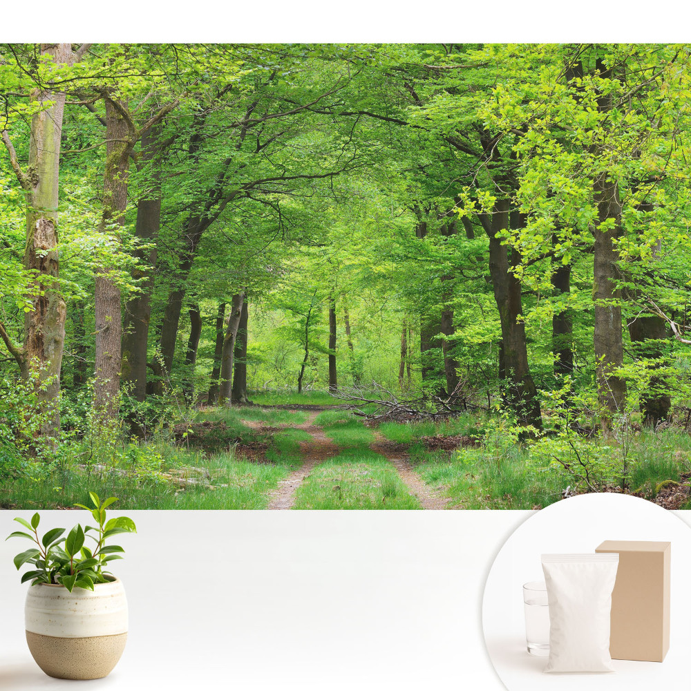 Fototapeta z nadrukiem na flizelinie Zielona leśna harmonijna sceneria