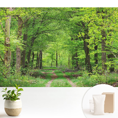 Fototapeta z nadrukiem na flizelinie Zielona leśna harmonijna sceneria