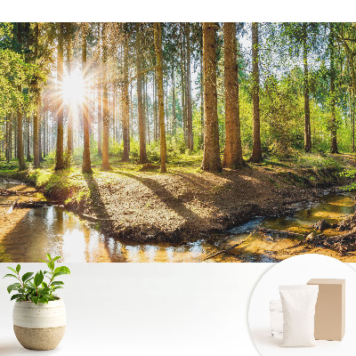 Fototapeta do salonu Promienne słońce w leśnym krajobrazie