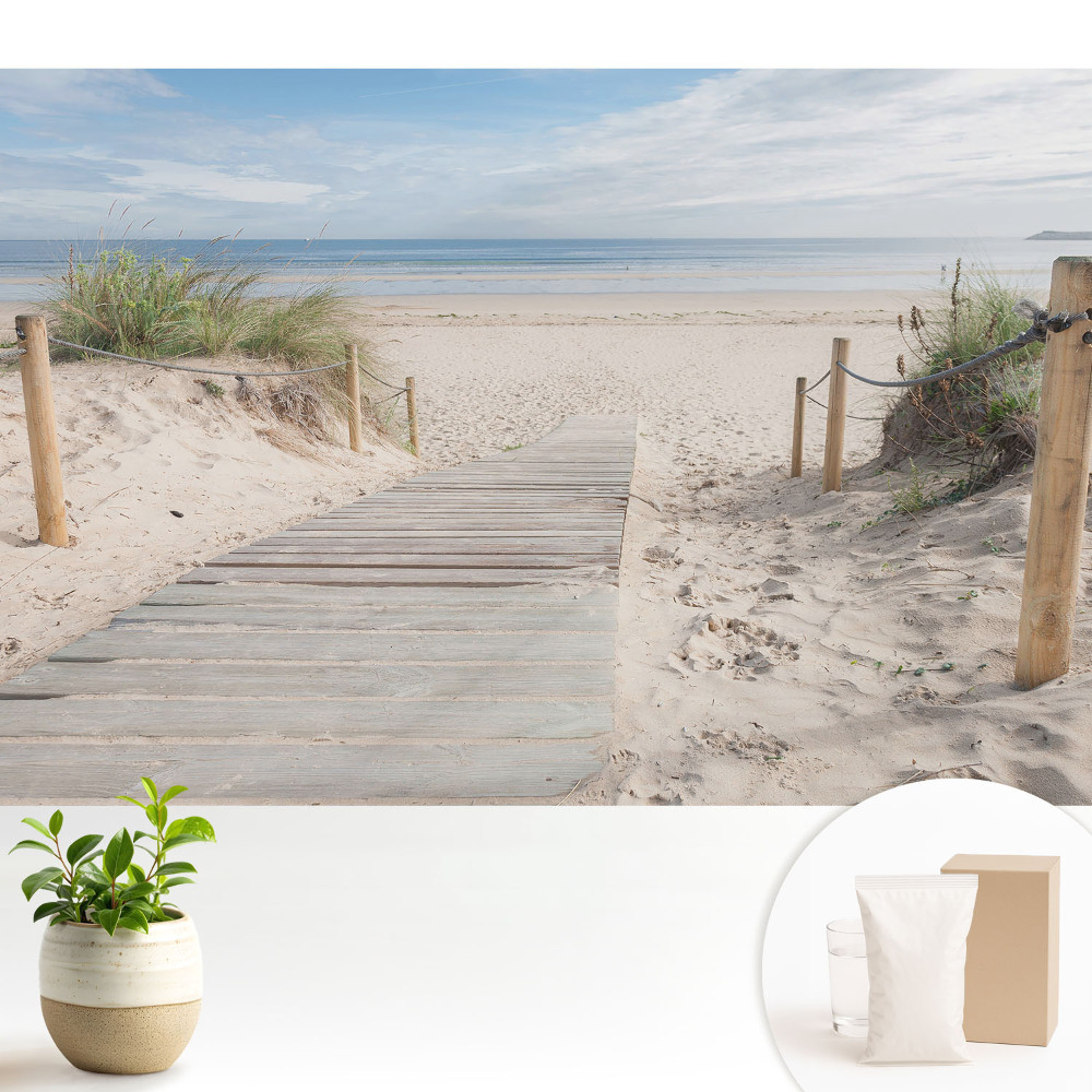 Nowoczesna fototapeta na wymiar Wejście na plażę wśród wydm