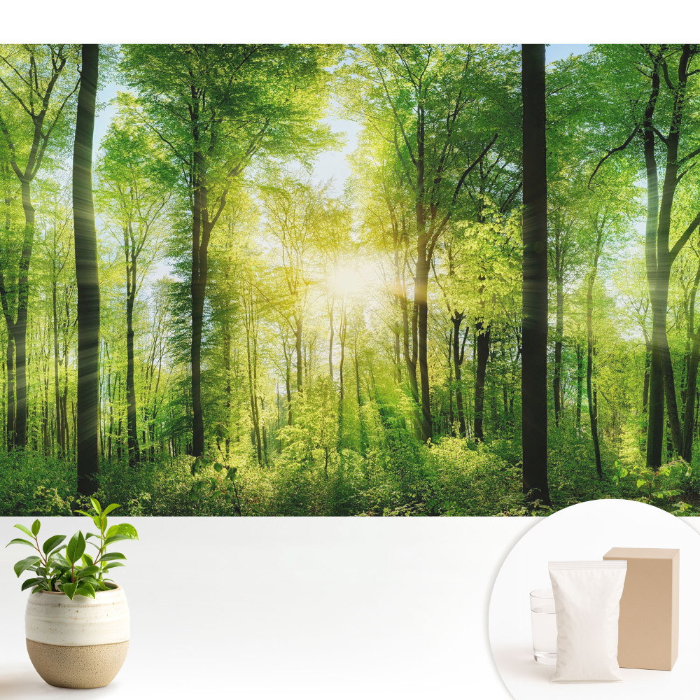 Fototapeta na wymiar do sypialni Zielony las w promieniach słońca
