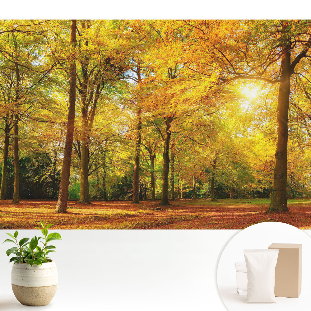 Fototapeta flizelinowa do salonu Jesienna panorama lasu pełna barwnych liści