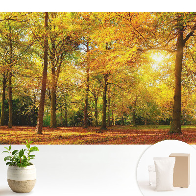 Fototapeta flizelinowa do salonu Jesienna panorama lasu pełna barwnych liści