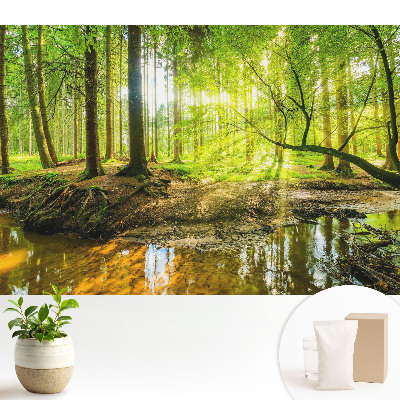Fototapeta Leśny spokój światło strumyk