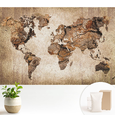 Nowoczesna fototapeta na wymiar Rustykalna mapa świata