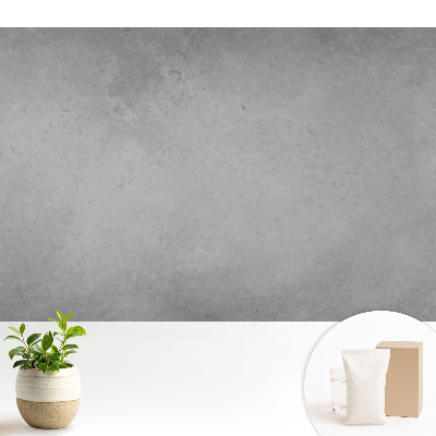 Fototapeta flizelinowa do salonu Minimalistyczna tekstura szarości