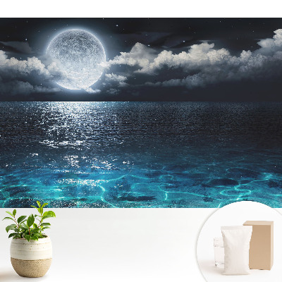 Nowoczesna fototapeta na wymiar Pejzaż księżycowy harmonia wody i nieba