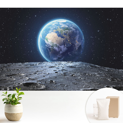 Fototapeta na wymiar do sypialni Rozgwieżdżony widok z Księżyca