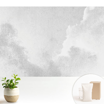 Fototapeta do salonu Delikatne obłoki minimalizm i harmonia