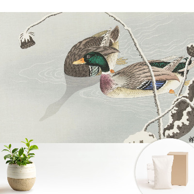 Fototapeta flizelinowa do salonu Dwie kaczki na wodzie w klasycznym stylu