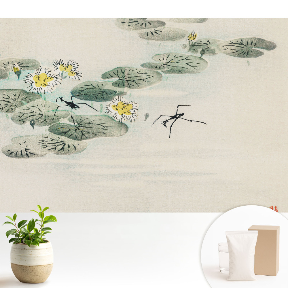 Tapeta fotograficzna flizelinowa Lilie wodne na tle wody