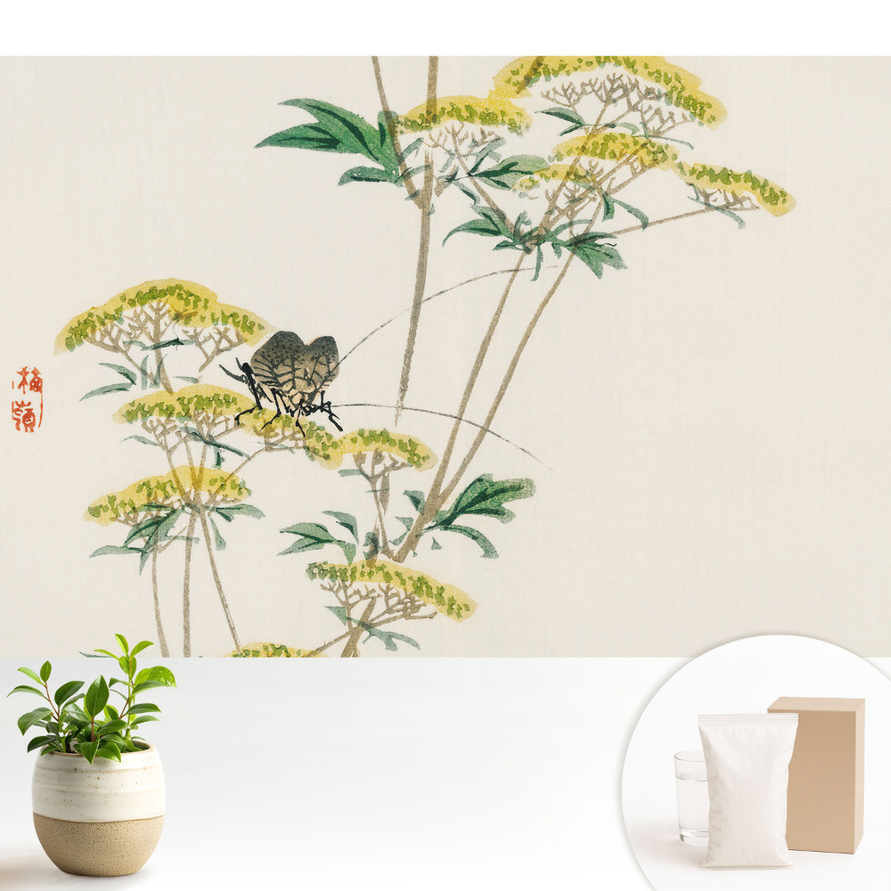 Fototapeta na wymiar do sypialni Subtelne kwiaty owad harmonia natura