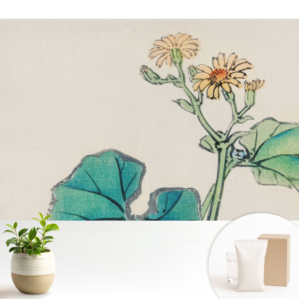 Fototapeta do salonu Delikatny kwiat na tle zielonych liści