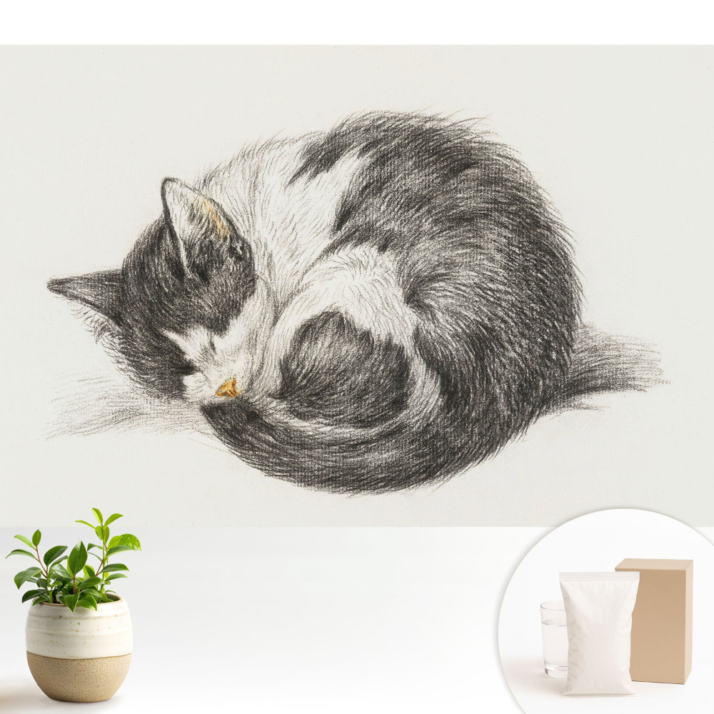 Nowoczesna fototapeta na wymiar Śpiący kotek ilustracja centralna