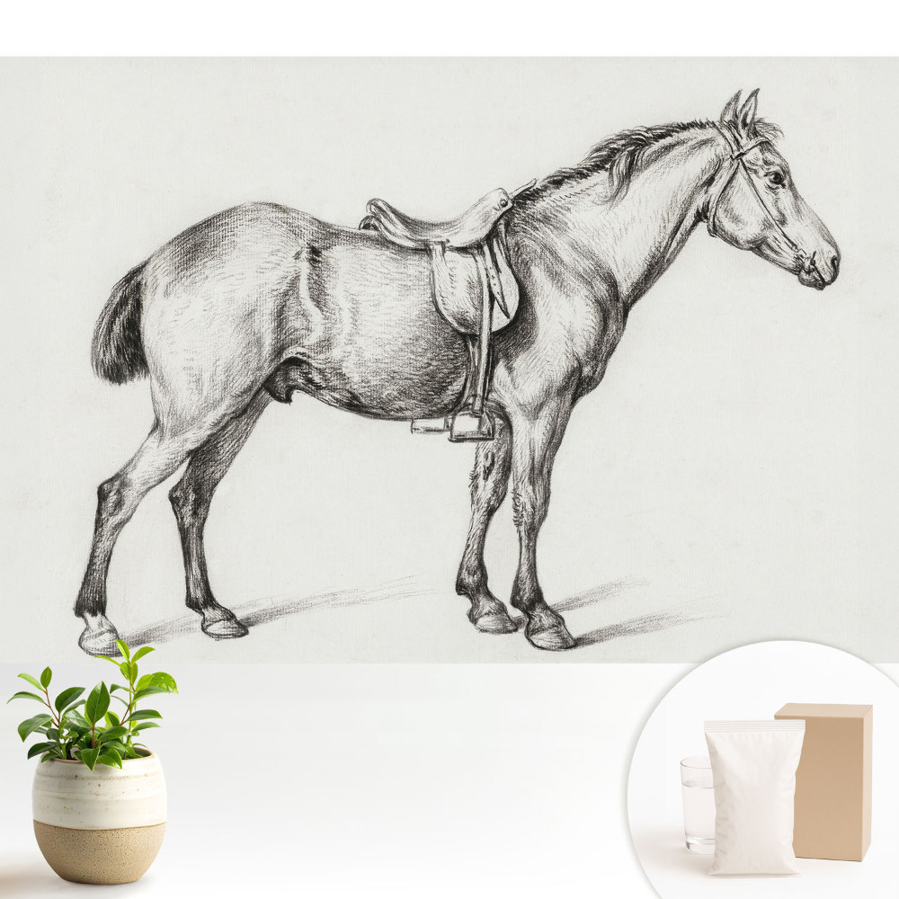 Fototapeta do salonu Realistyczny koń z siodłem