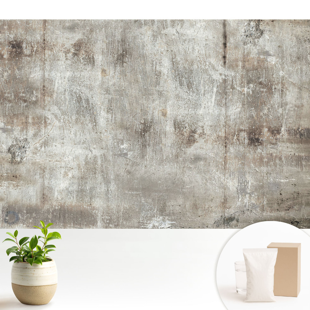 Fototapeta do salonu Rustykalna faktura betonu