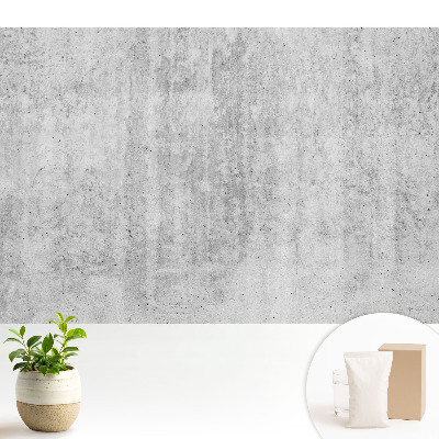 Nowoczesna fototapeta na wymiar Surowa szara struktura w stylu minimalistycznym