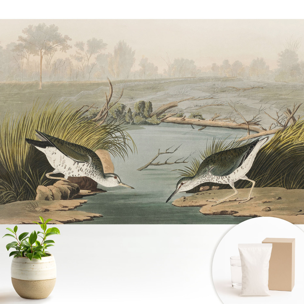 Tapeta fotograficzna flizelinowa Ptaki nad jeziorem harmonia natury