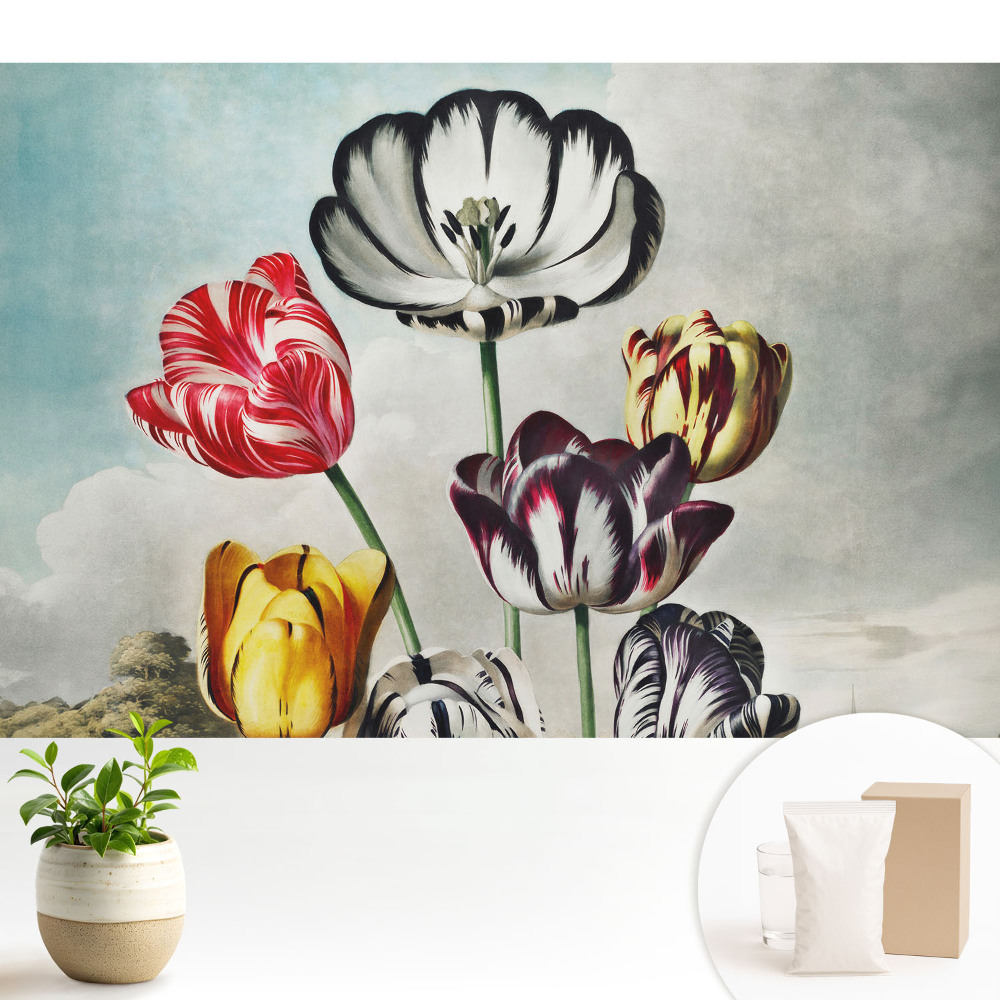Fototapeta do salonu Tulipanowy bukiet elegancja klasyki