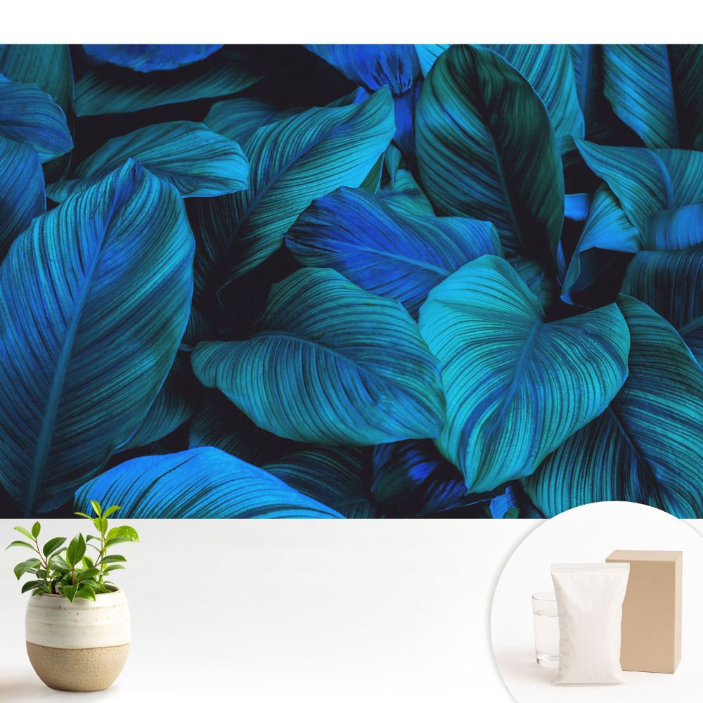 Nowoczesna fototapeta na wymiar Niebieskie liście natura głębia