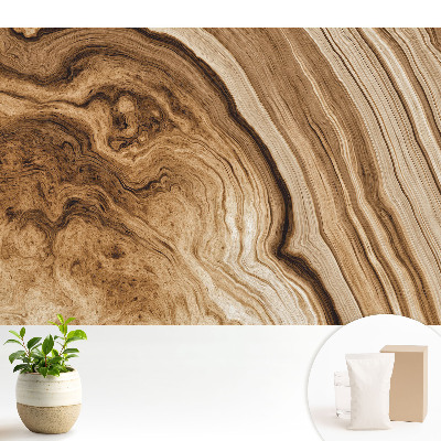 Tapeta fotograficzna flizelinowa Organiczne linie drewna ziemiste odcienie zrównoważony klimat