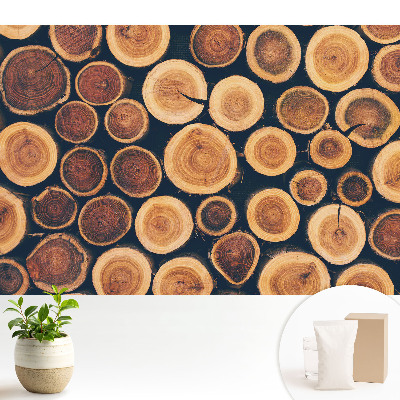 Fototapeta flizelinowa do salonu Rustykalne drewno naturalna symetria