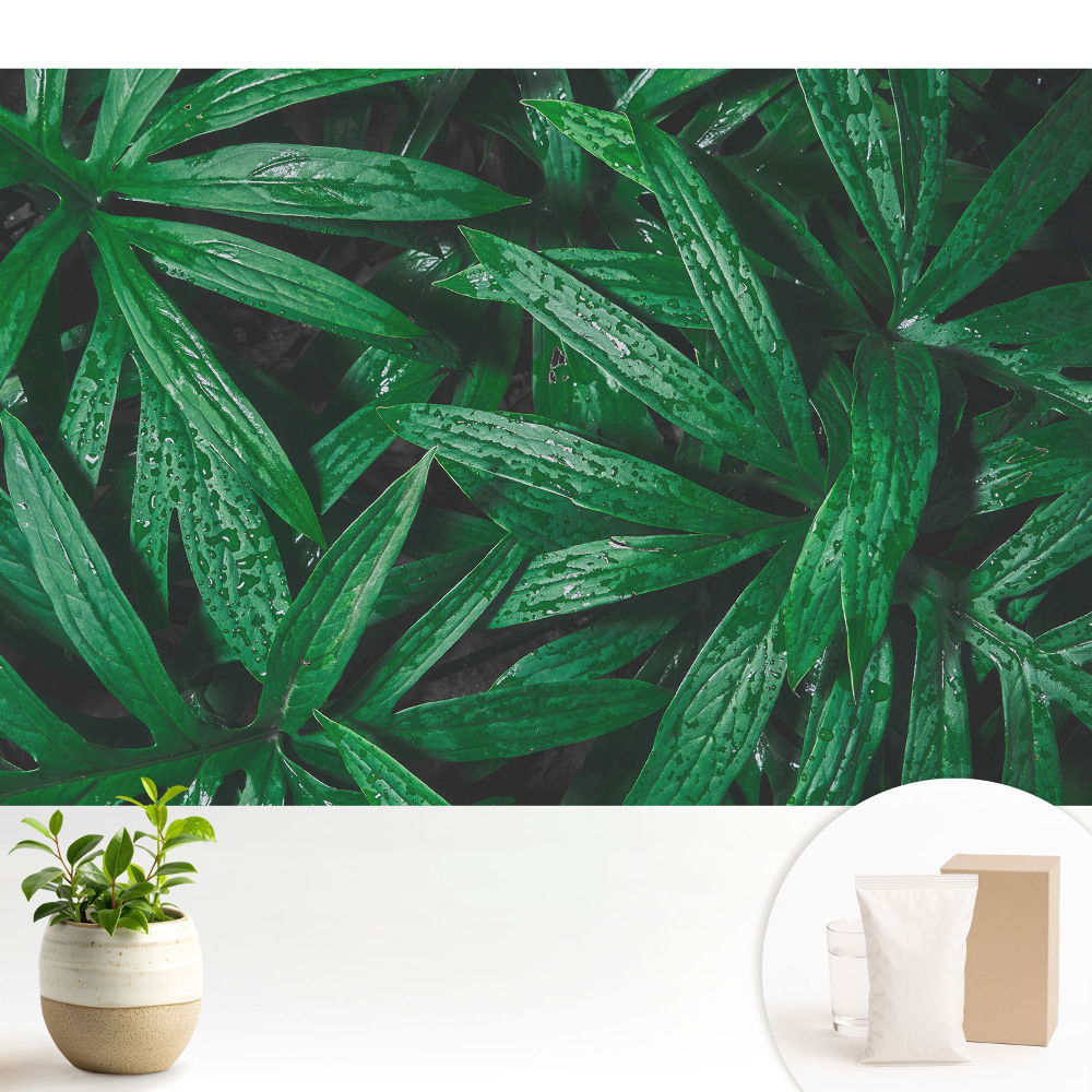 Fototapeta flizelinowa do salonu Liście w bliskim ujęciu