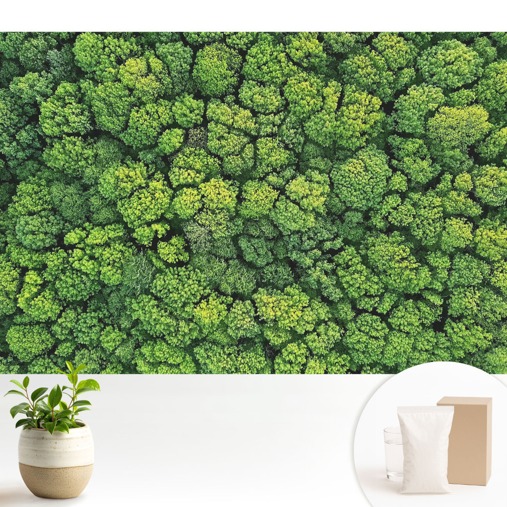 Fototapeta Zielony las z góry