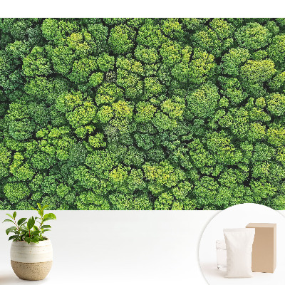 Fototapeta Zielony las z góry