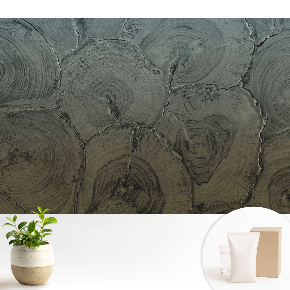 Fototapeta do salonu Szare słoje drewna klasyczny wzór