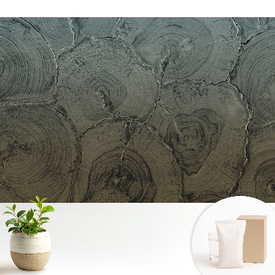 Fototapeta do salonu Szare słoje drewna klasyczny wzór