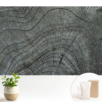 Fototapeta Drewniane słoje rustykalna symetria