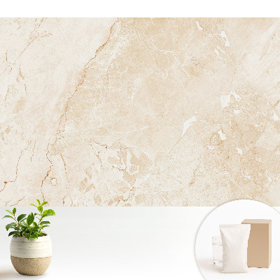 Fototapeta do salonu Elegancki beżowy marmur