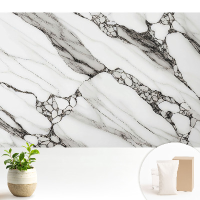 Nowoczesna fototapeta na wymiar Czarne żyłki na białym tle kamienia